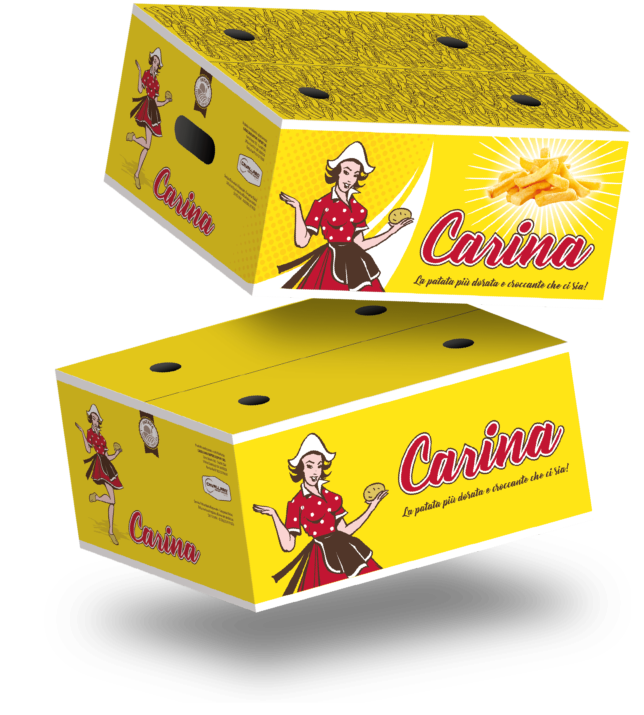 scatole carina 2
