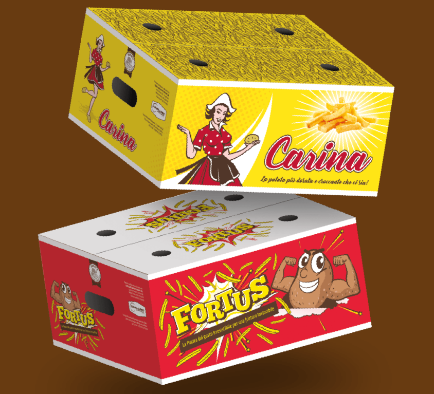 Cavallaro